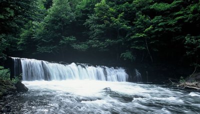 🌊 사쿠라 폭포(사쿠라노타키) 이미지 2